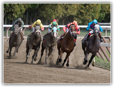 Horse race